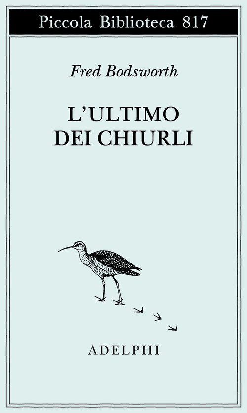 L'ultimo dei chiurli