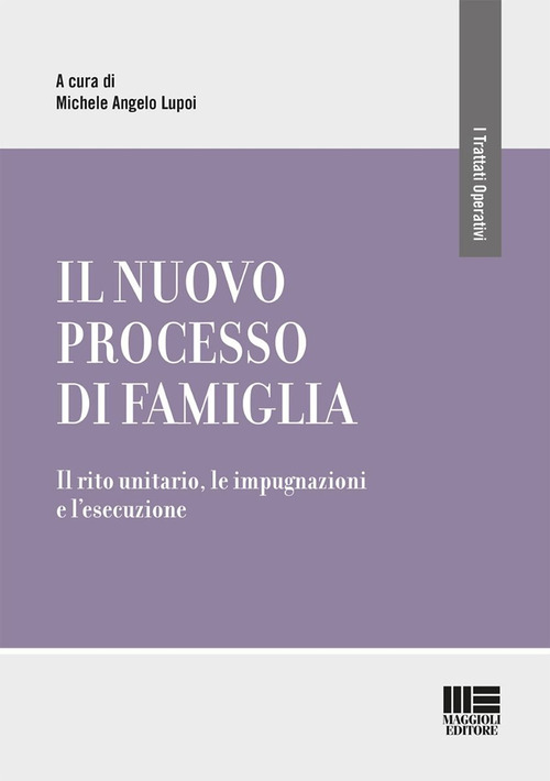 Il nuovo processo di famiglia. Il rito unitario, le impugnazioni e l'esecuzione